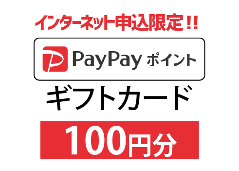 PayPayギフトカード100円