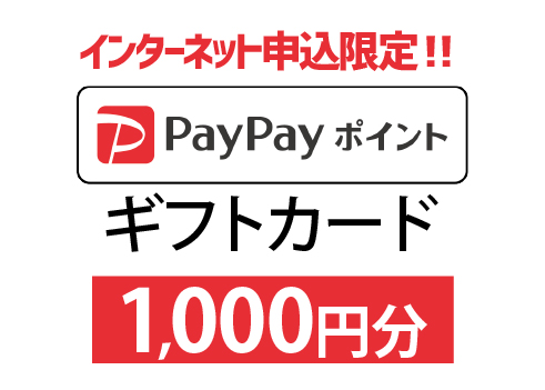 PayPayギフトカード1,000円