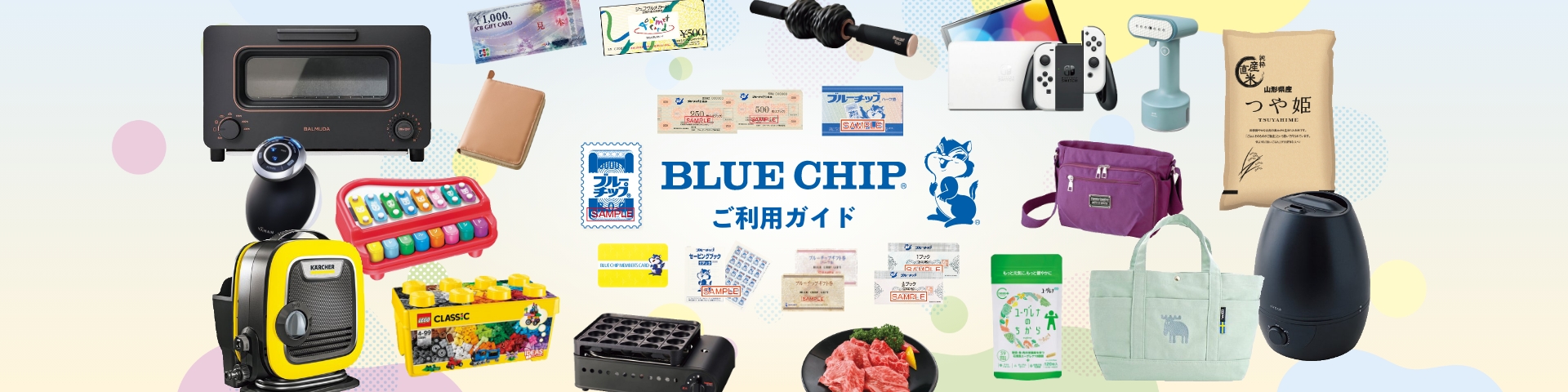 BLUE CHIP カタログサイト