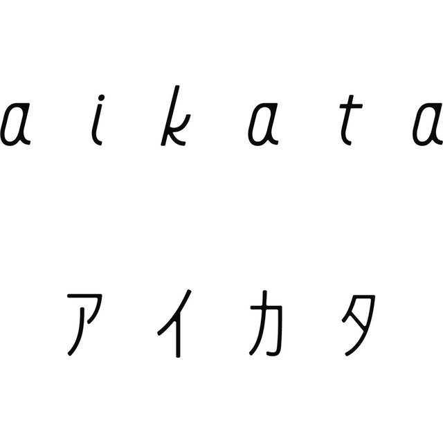 アイカタ　鉄製揚げ鍋（蓋付き）