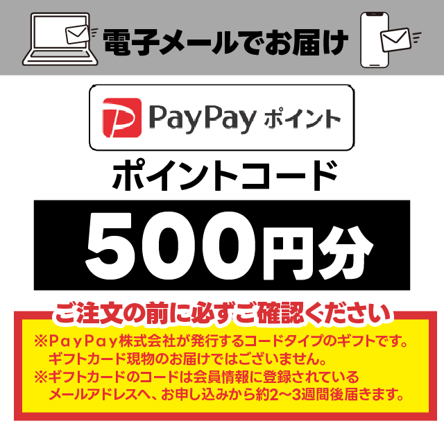 【インターネット申し込み限定】PayPayポイントコード　500円