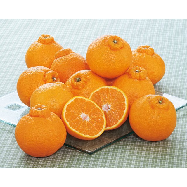 愛媛県産 デコポン