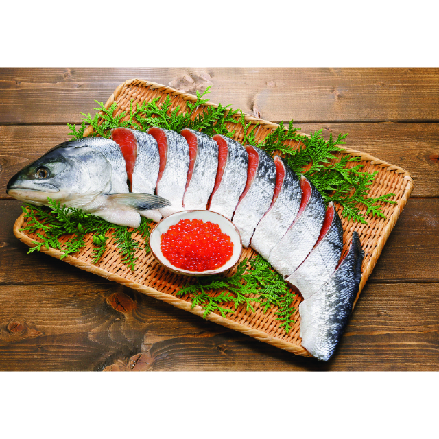 北海道　銀毛新巻鮭といくら