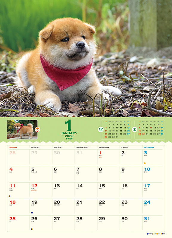 ２０２６年カレンダー　コロコロマメシバ