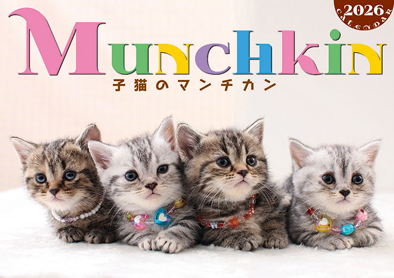 ２０２６年カレンダー　子猫のマンチカン