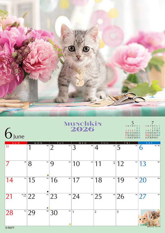 ２０２６年カレンダー　子猫のマンチカン